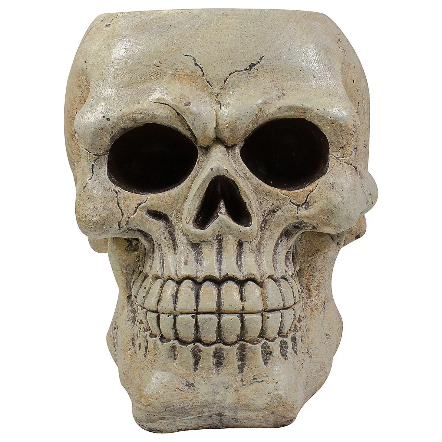 Store 11" Ivory And Black Halloween Skull Tabletop Decoration Skulls & Skeletons