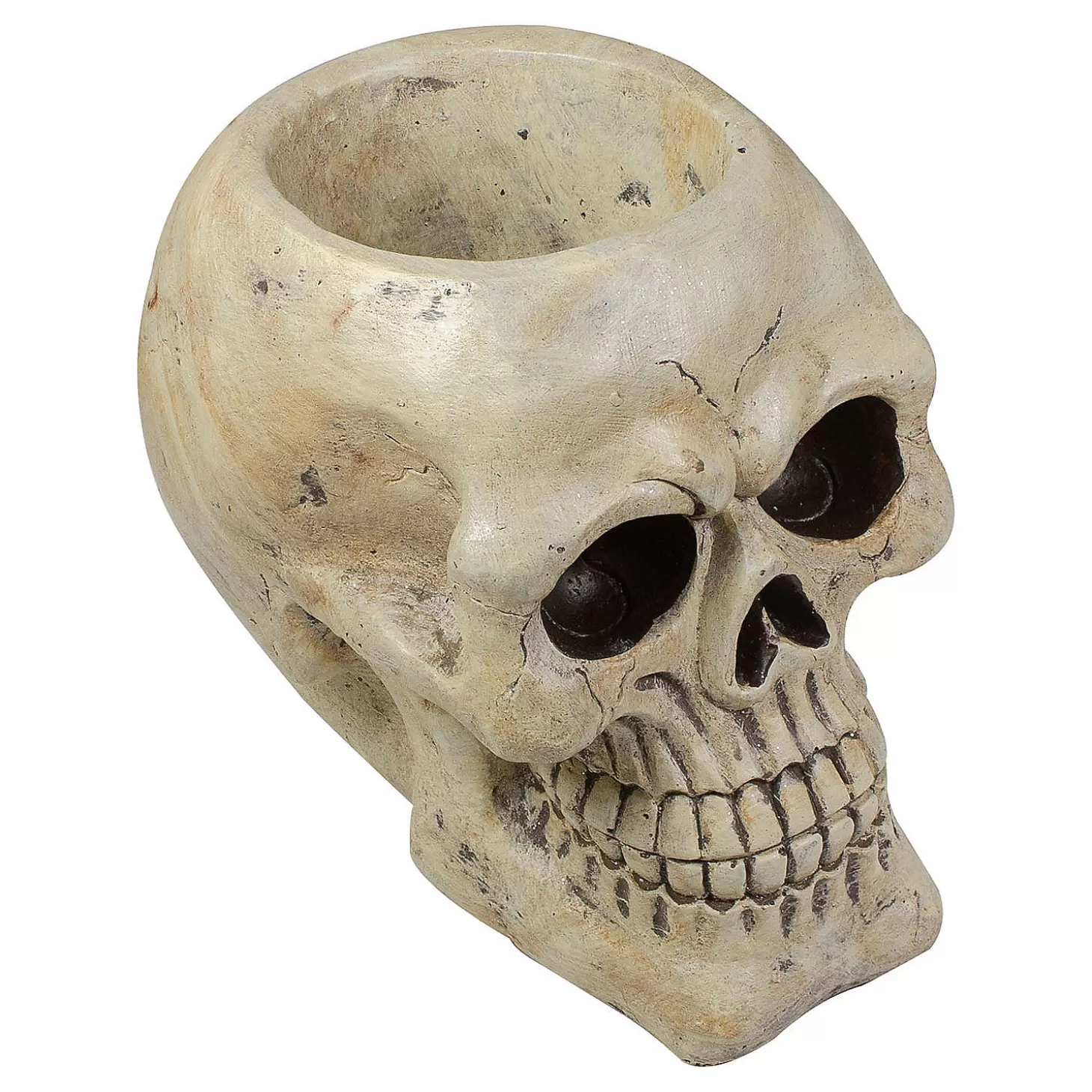 Store 11" Ivory And Black Halloween Skull Tabletop Decoration Skulls & Skeletons