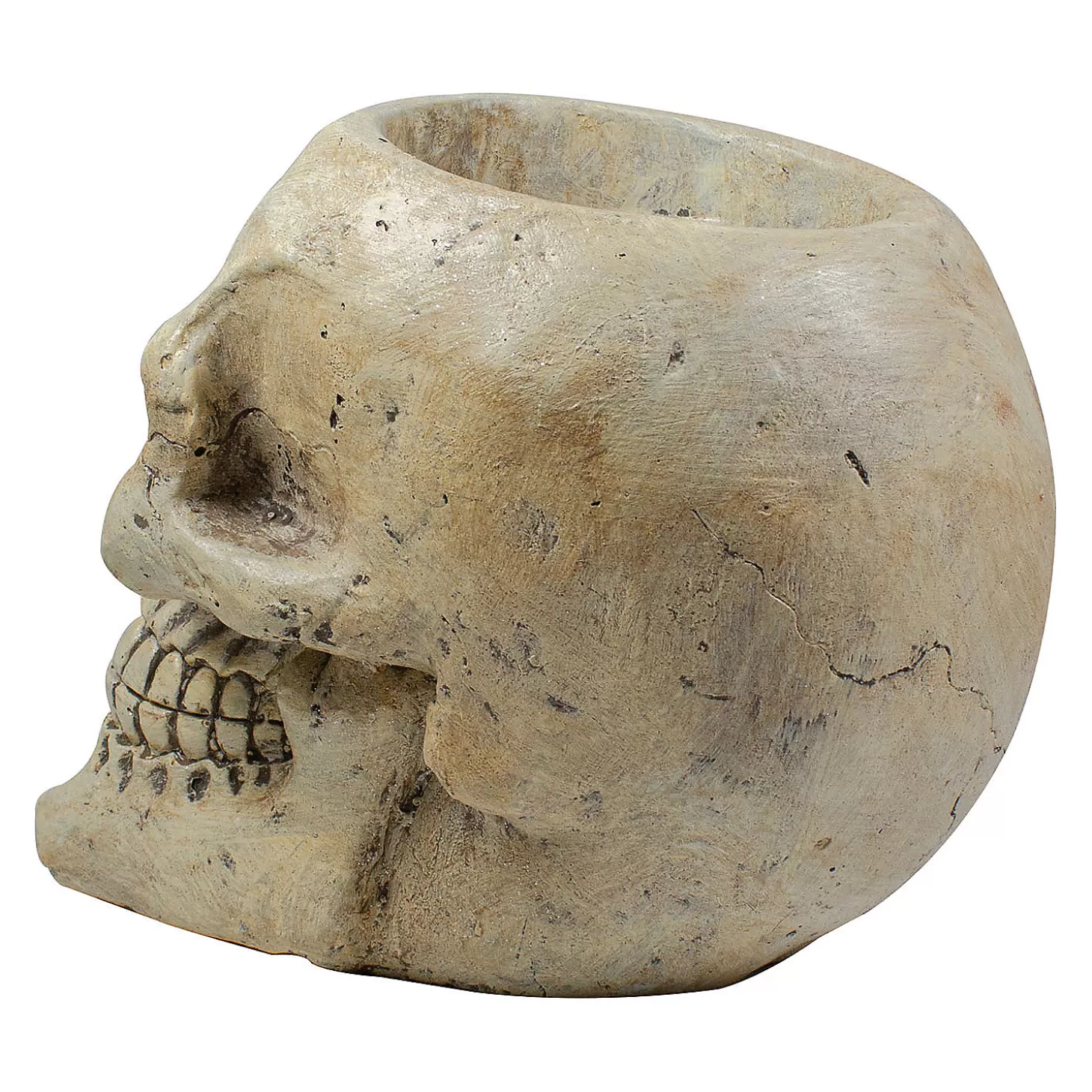 Store 11" Ivory And Black Halloween Skull Tabletop Decoration Skulls & Skeletons