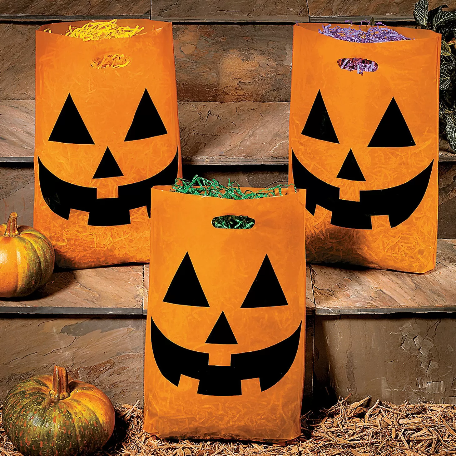 Best 12" X 17" Bulk 50 Pc. Large Jack-O'-Lantern Halloween Plastic Goody Bags Halloween Bags
