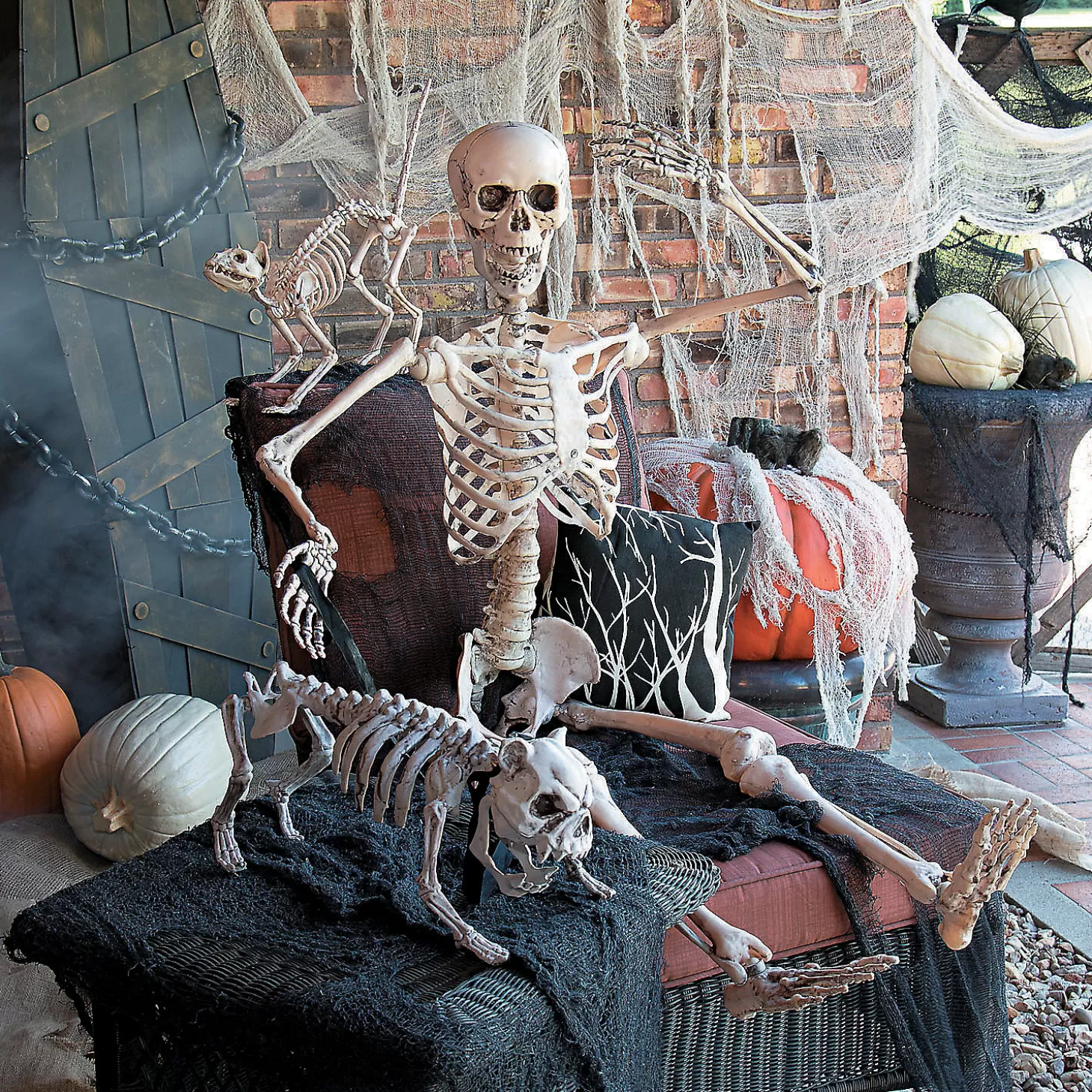 Cheap 5 Ft. Life-Size Posable Skeleton Halloween Decoration Skulls & Skeletons