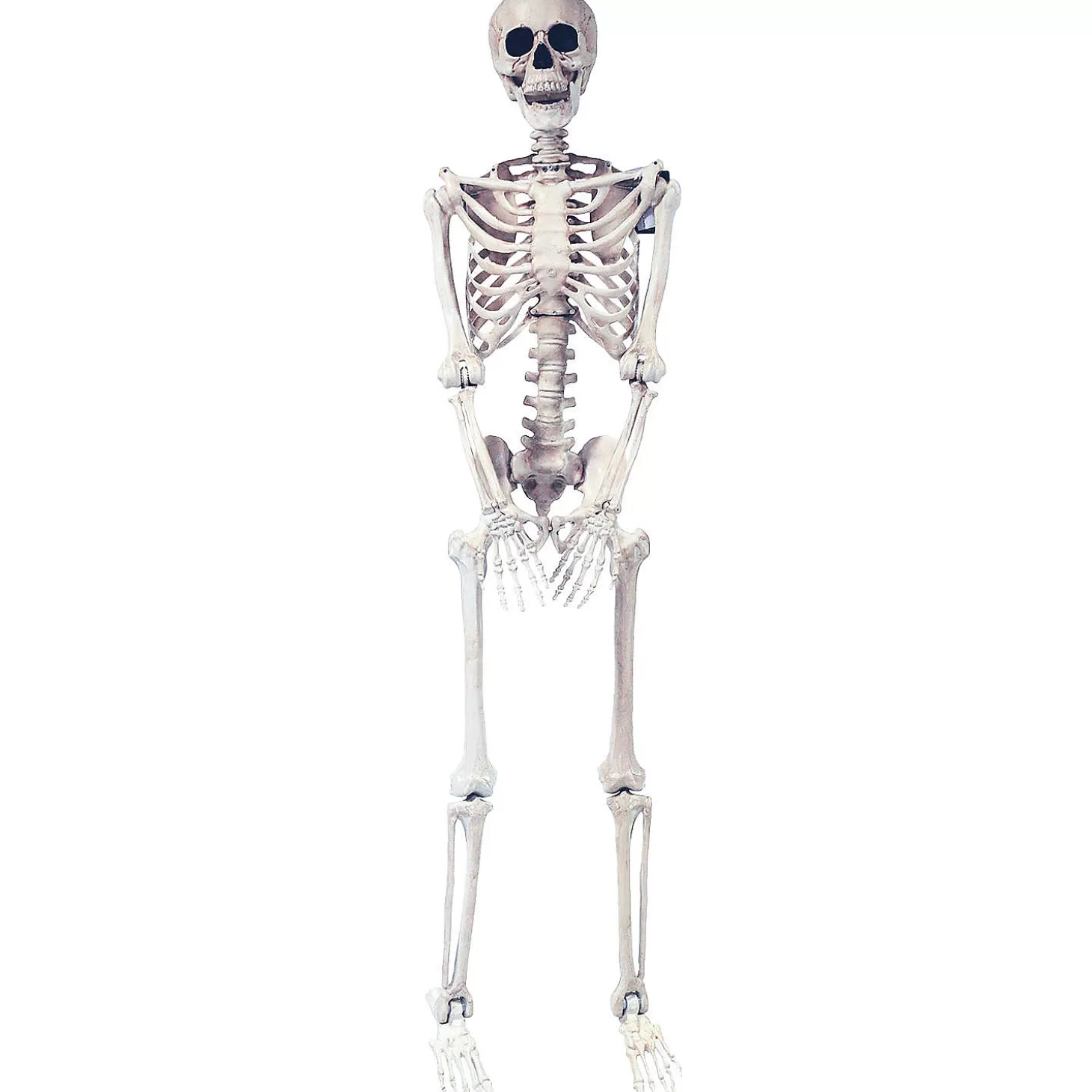 Flash Sale 5 Ft. Skeleton Pose & Hold Halloween Decoration Skulls & Skeletons