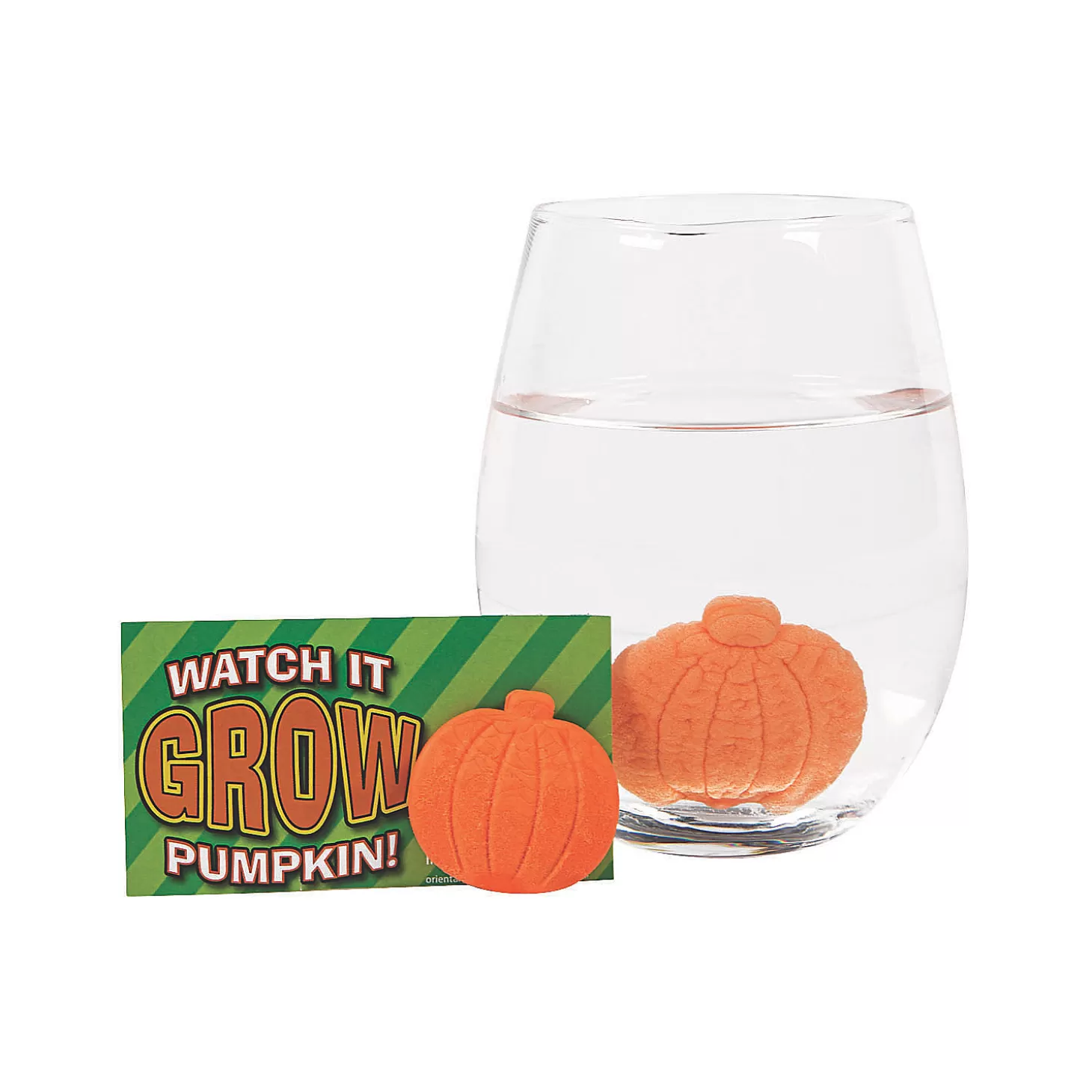 Best Sale Bulk 48 Pc. Watch It Grow Pumpkin Water Growing Toys Boo Bags