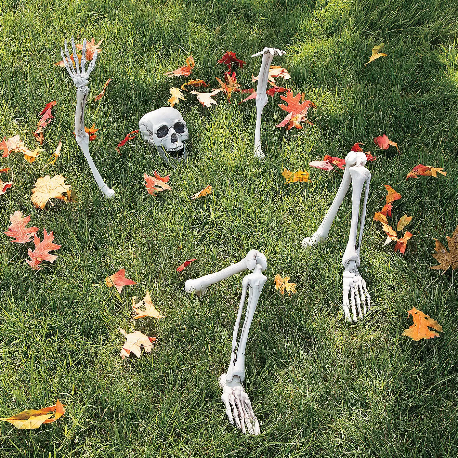 Flash Sale Life-Size Skeleton Yard Halloween Decoration Skulls & Skeletons