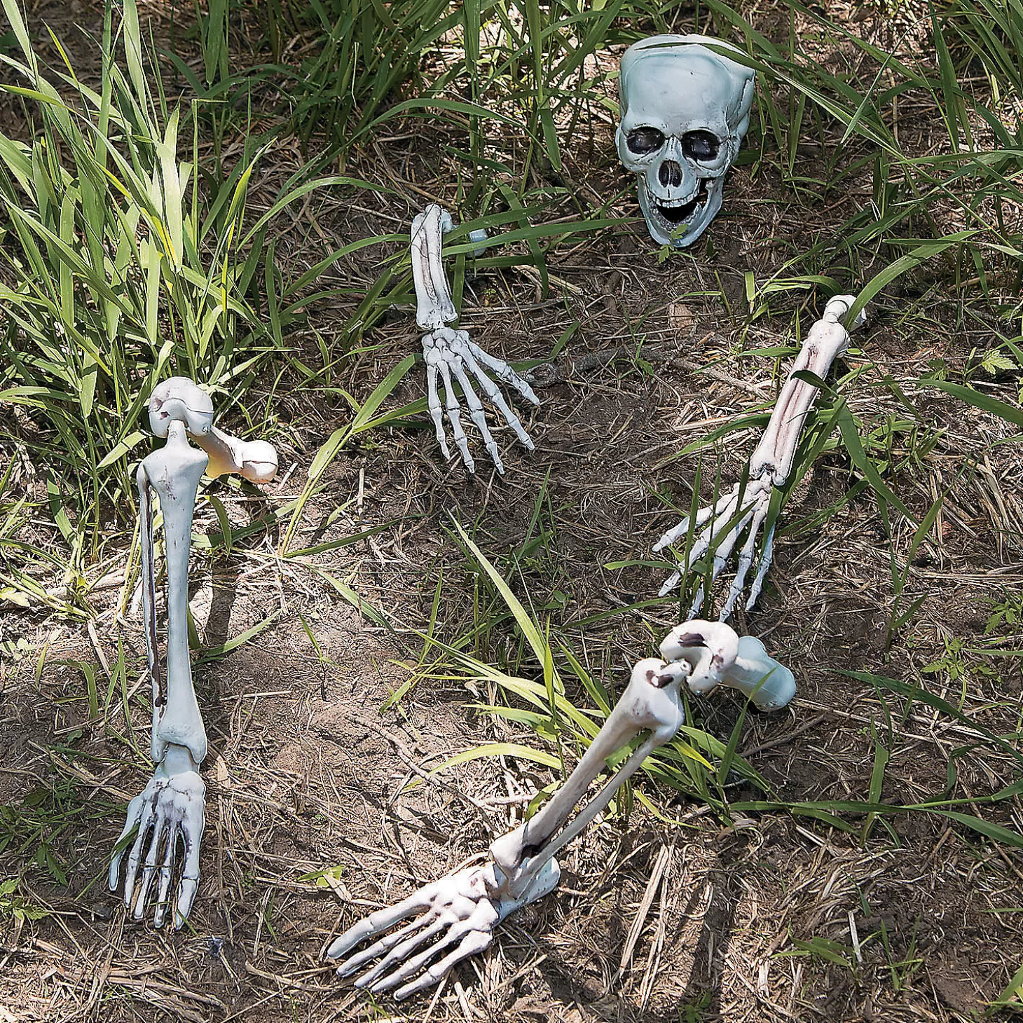 Flash Sale Life-Size Skeleton Yard Halloween Decoration Skulls & Skeletons