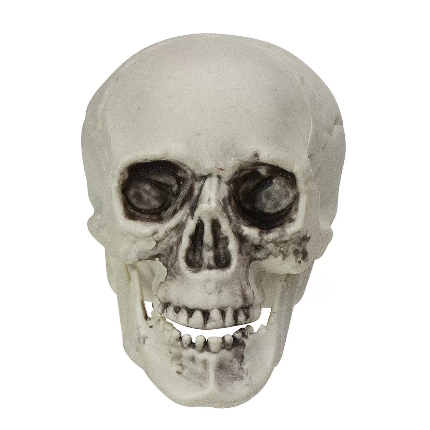 Cheap Pack Of 6 Skull Head Halloween Decorations 3.5" Skulls & Skeletons