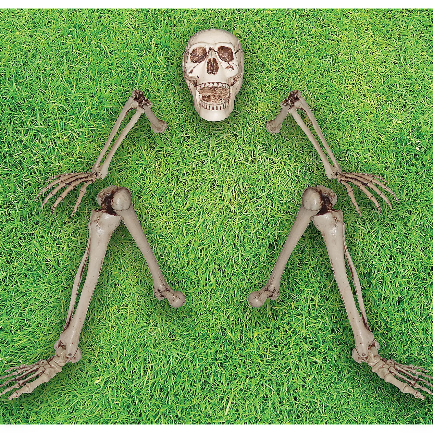 Clearance Skeleton Groundbreaker Decoration Skulls & Skeletons